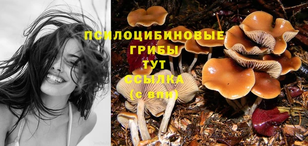 мдма Горнозаводск
