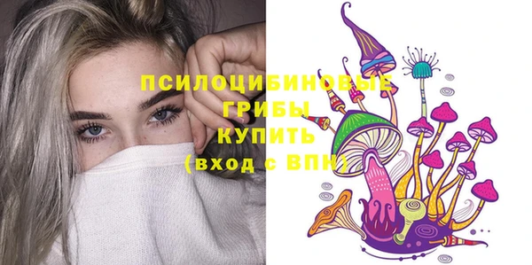 прущий лед Горно-Алтайск