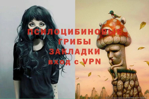 прущий лед Горно-Алтайск