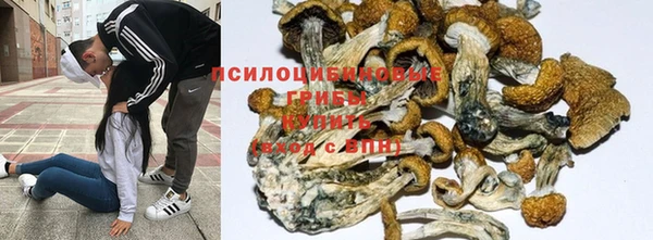 прущий лед Горно-Алтайск